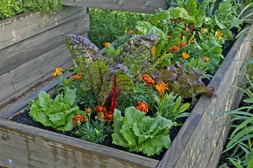 raised bed planting plan