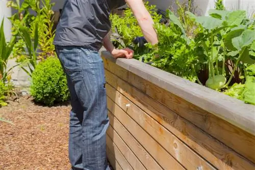 upphöjd bädd plantering kalender