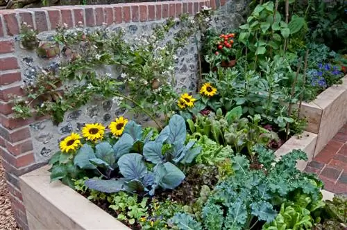 Raised bed made of paving stones: creative ideas & instructions