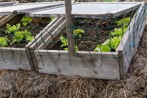 Bumuo ng sarili mong cold frame: Mga simpleng tagubilin para sa mga hobby gardener