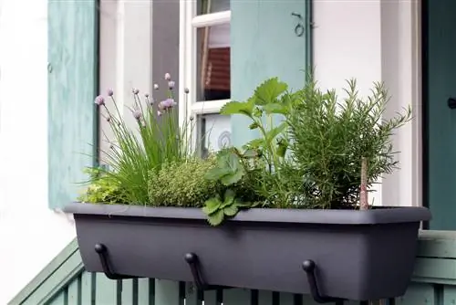 herb balcony box