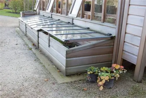 Successful gardening in the cold frame: cultivation, cultivation and harvesting