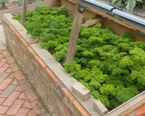 Cold frame heater na walang kuryente? Gumamit ng mga natural na alternatibo