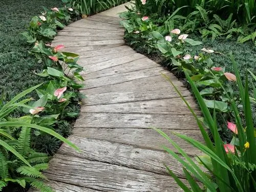 Designing a garden path out of wood: Tips for materials and construction methods