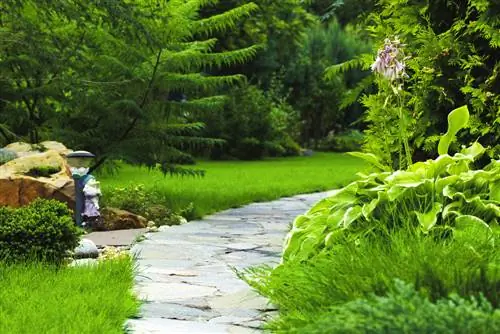 pietre del sentiero del giardino