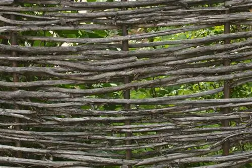 It's easy to make a privacy screen yourself out of branches