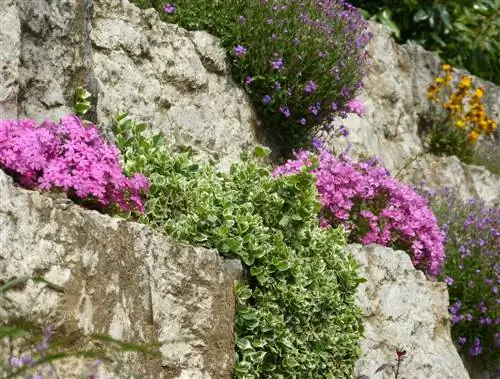 Creatively design the garden wall - ideas from modern to rural-romantic