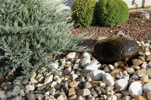 Design a modern front garden with stones - this is how you can create a trendy stone bed