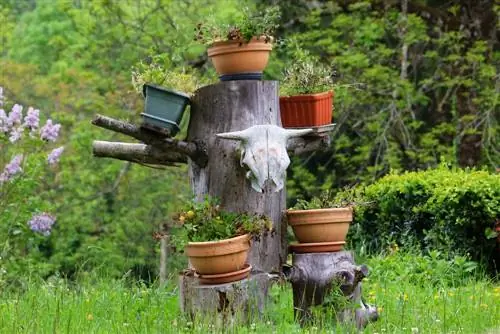 abbellire i ceppi degli alberi