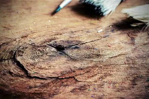 tree stump sealing