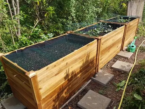 Raised bed depth: ergonomic gardening for back comfort