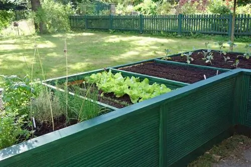 Raised bed tips: Successful gardening made easy