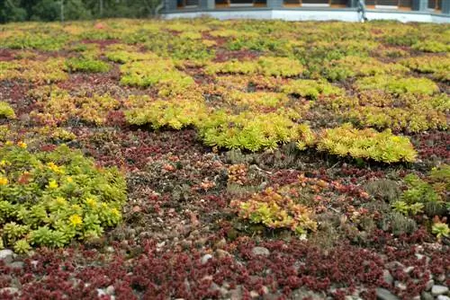 Green roof garage costs