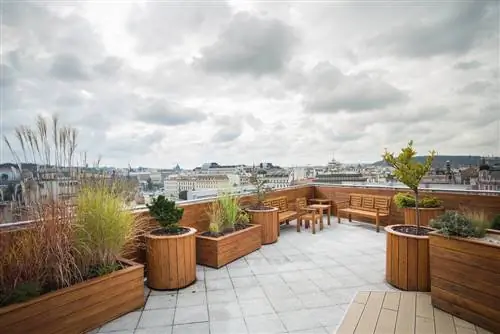 Terrazza verde sul tetto: piante fiorite e di facile manutenzione