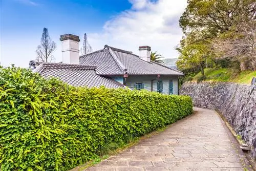 ladera de protección de privacidad