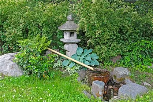 Jardín delantero japonés: ideas de diseño y elección de plantas