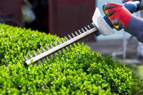 hedge trimmer sharpening