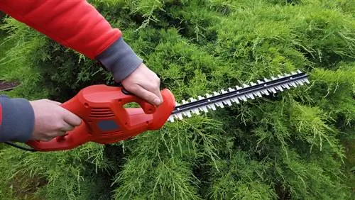 Pagpapanatili ng mga hedge trimmer: Paano panatilihing matalas at gumagana ang mga ito