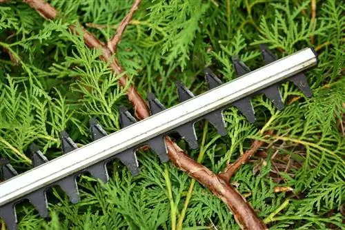 Repairing hedge trimmers: instructions for possible problems