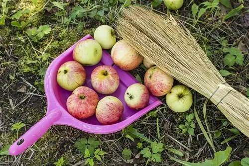 Zgradite svojega zbiralca jabolk