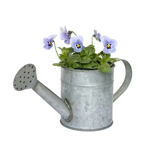 Original garden decoration: watering can as a plant container