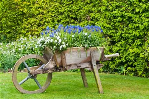 Stap voor stap: verander een kruiwagen in een bloemenparadijs