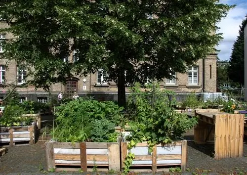 Garden sustainably: raised beds made from recycled materials