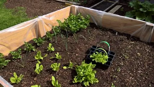 Raised bed and fleece: protection from moisture and weeds?