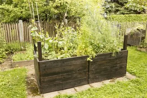 Raised bed closed at the bottom: advantages & instructions for building