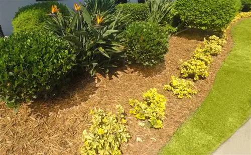 front garden with bark mulch