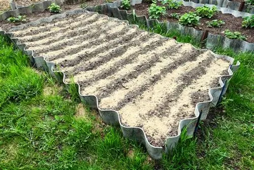 Raised bed variants: Creative ideas for every garden