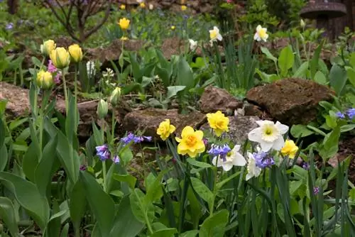 giardino antistante-lato sud