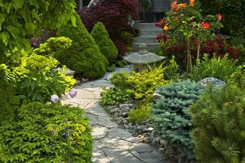 escalier du jardin devant