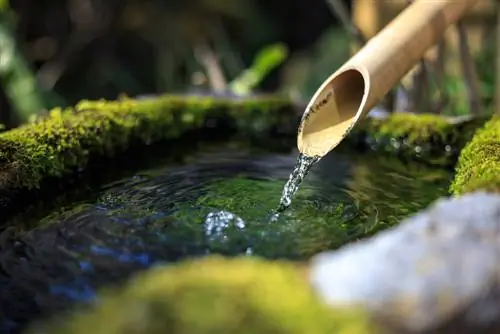 zen tuin balkon