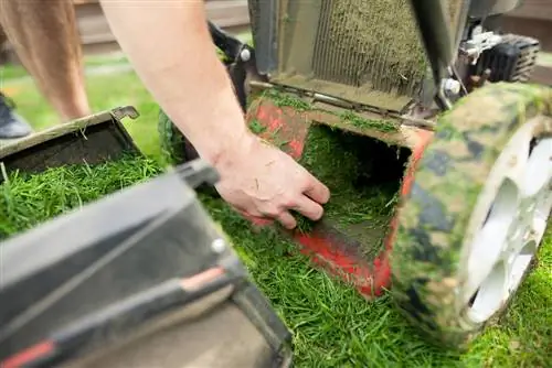 Cleaning lawnmowers: How do you increase their lifespan?