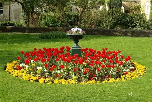 planten in ronde bedden