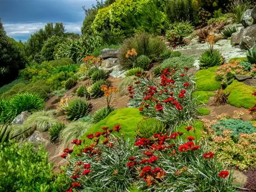 embankment-planting