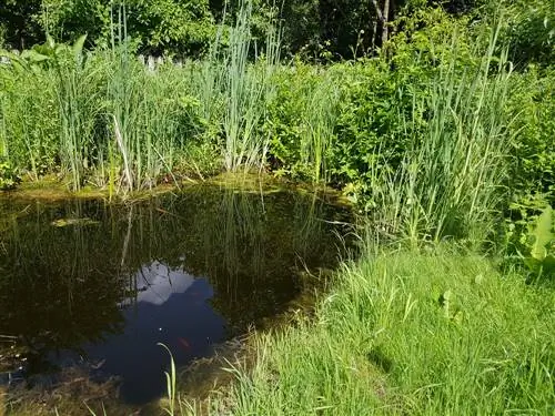 Bankmatten planten