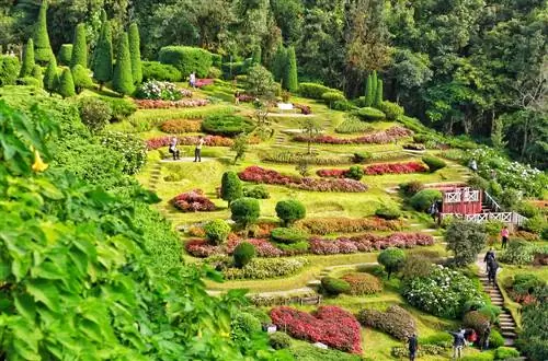 Planting steep slopes: How to protect your slope from erosion