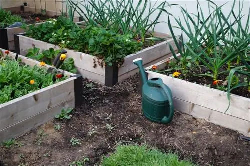 cama elevada para plantas