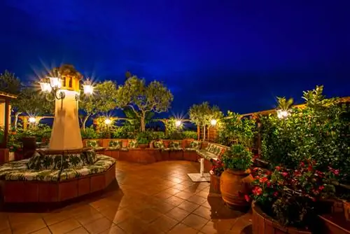 plantation en terrasse