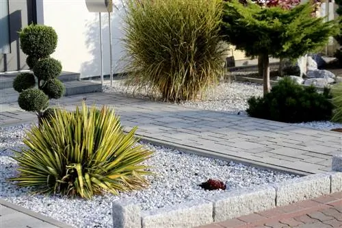 Plantar un jardín de rocas: ideas y tipos de plantas adecuadas