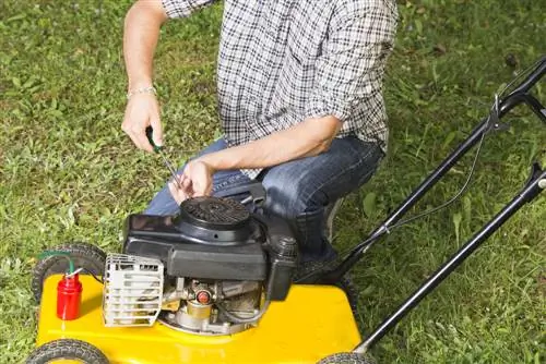 Langkah demi langkah: Bersihkan karburetor mesin pemotong rumput dengan teliti