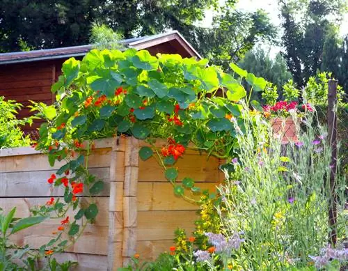 raised bed fence