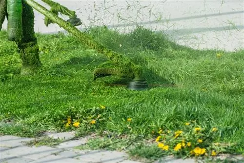 Πρόβλημα με τη γραμμή κοπής χόρτου