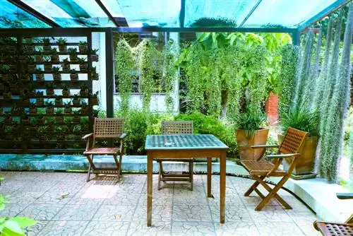 Privacy screen terrace plants: Creative ideas and tips