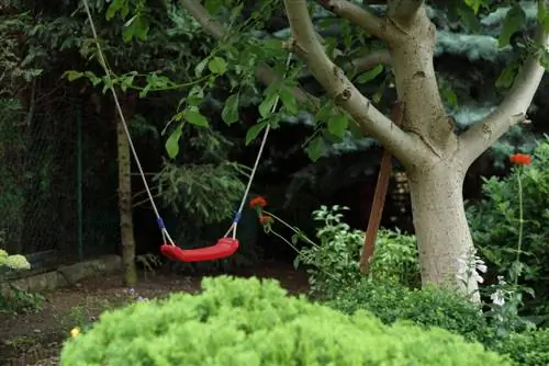 Attach swing between 2 trees