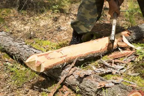 odkôrňovanie kmeňov stromov