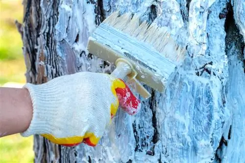 Calce correttamente il tronco dell'albero: così proteggi il tuo albero