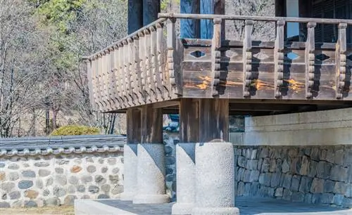 revestir el tronco de un árbol con concreto